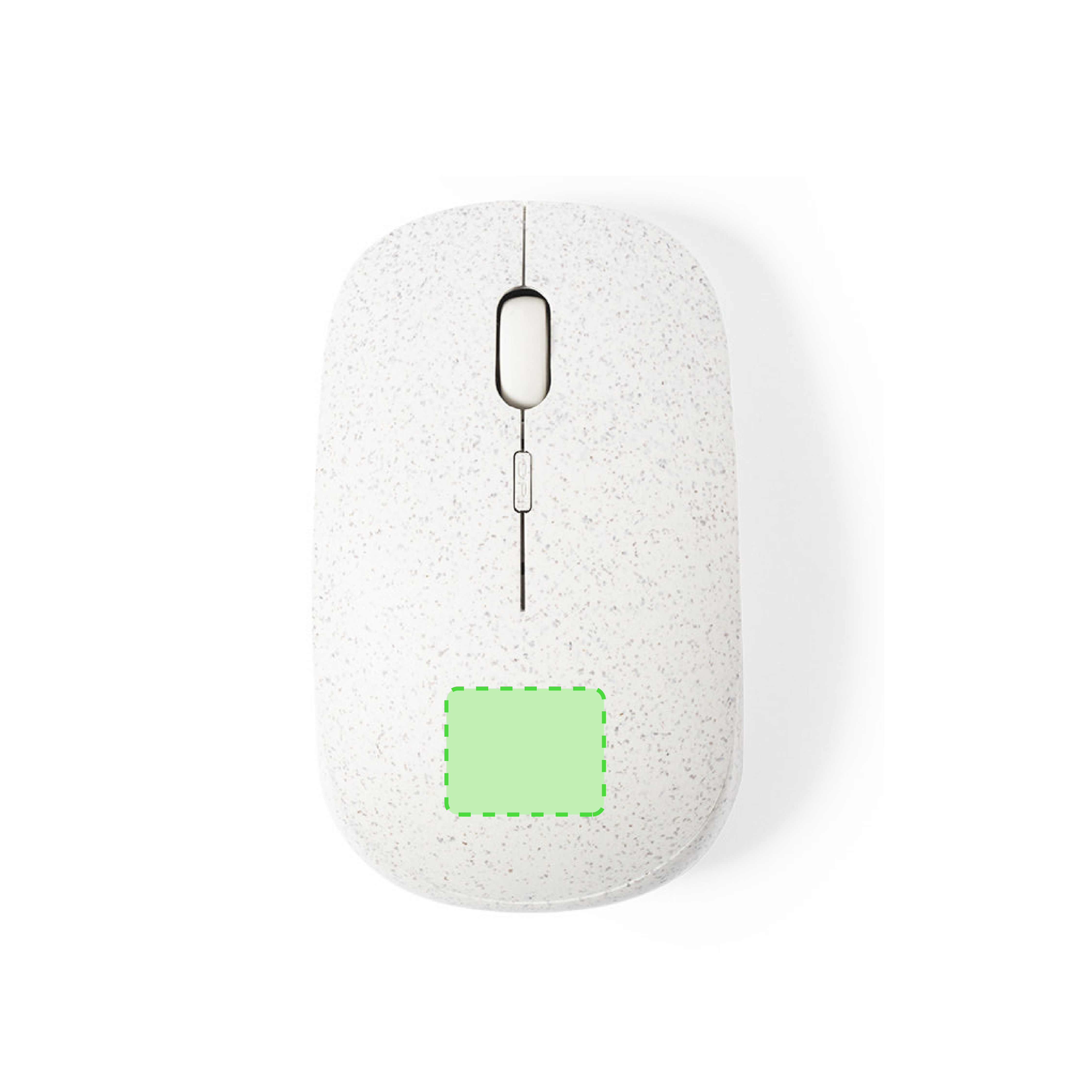 bottom of the mouse