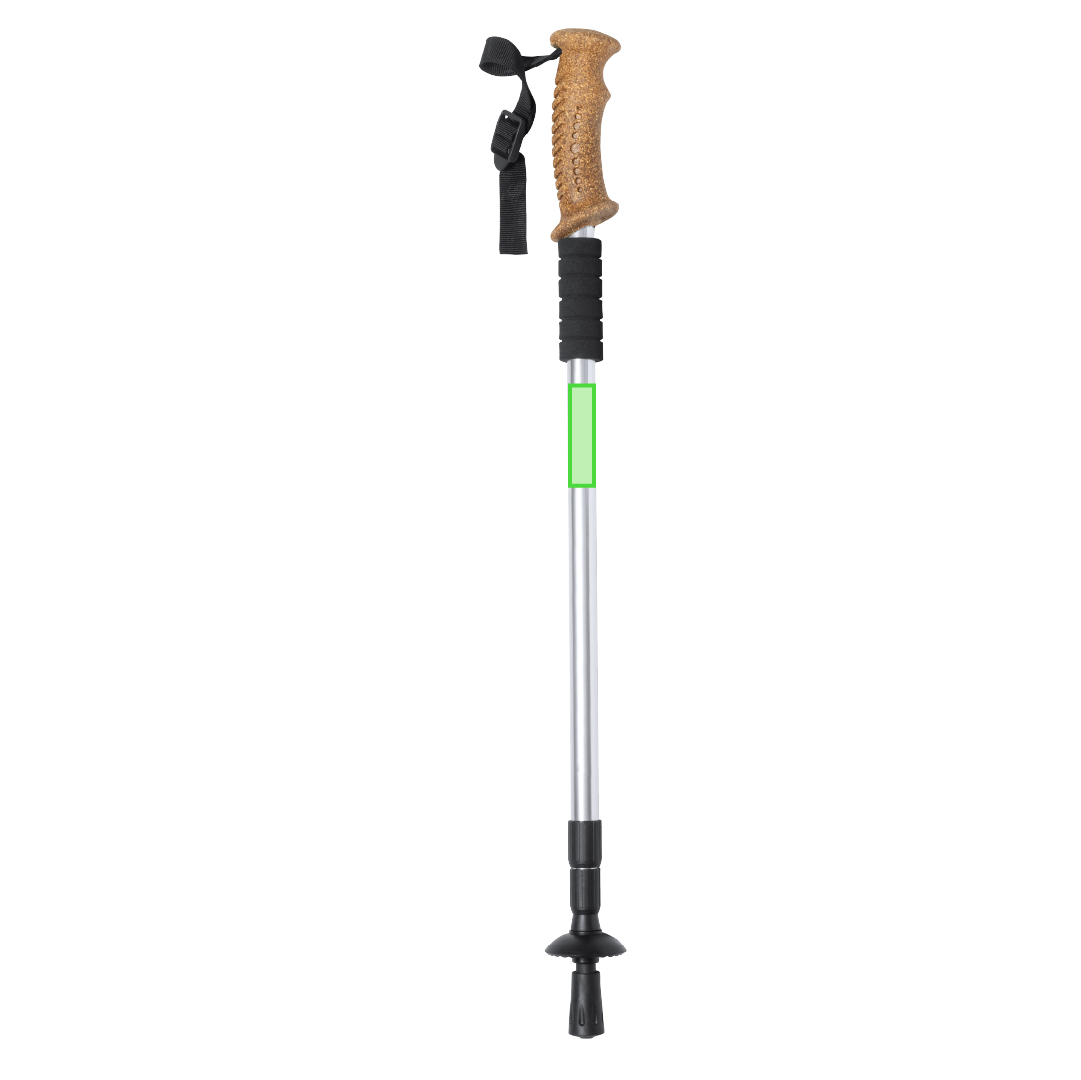 Walking stick 1