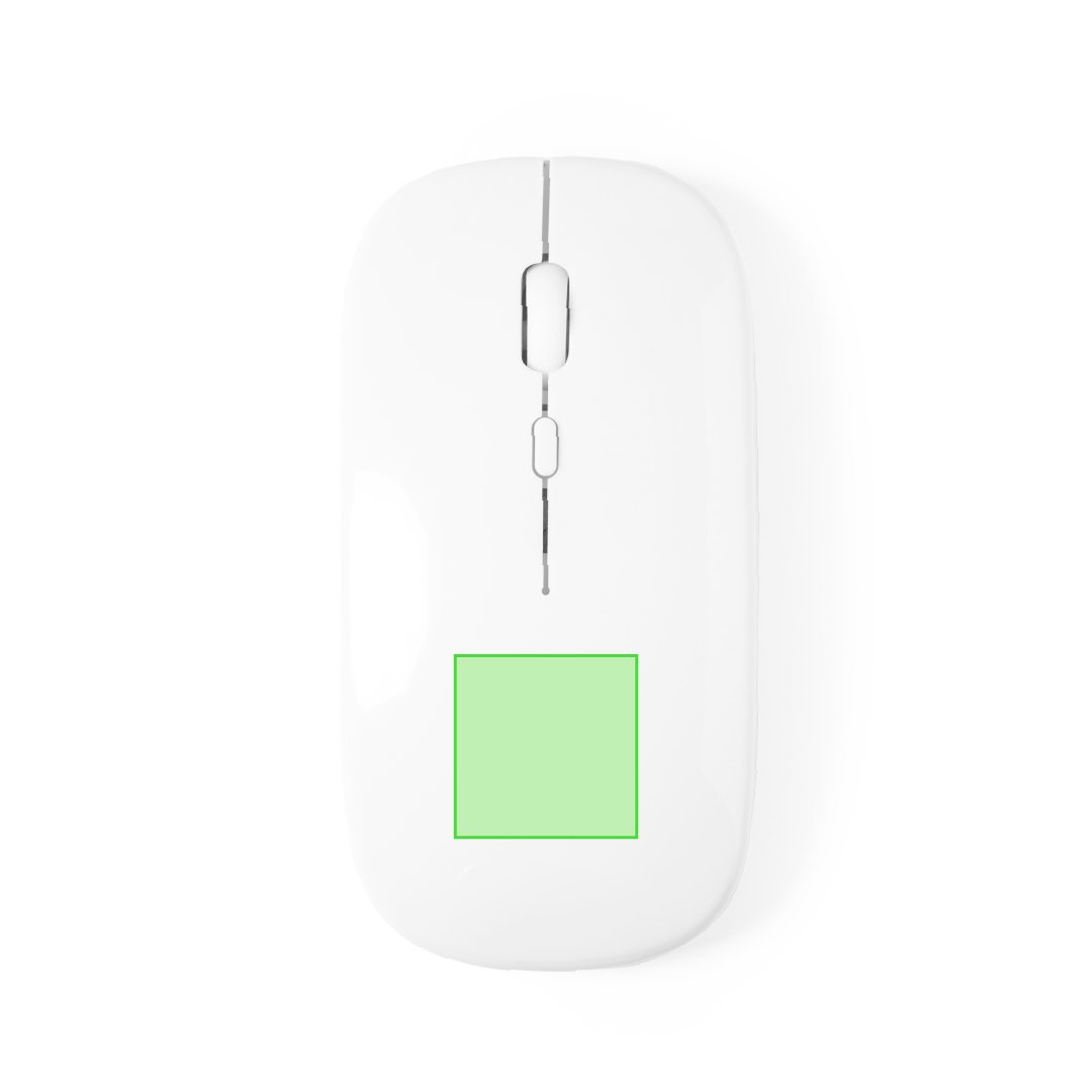 bottom of the mouse