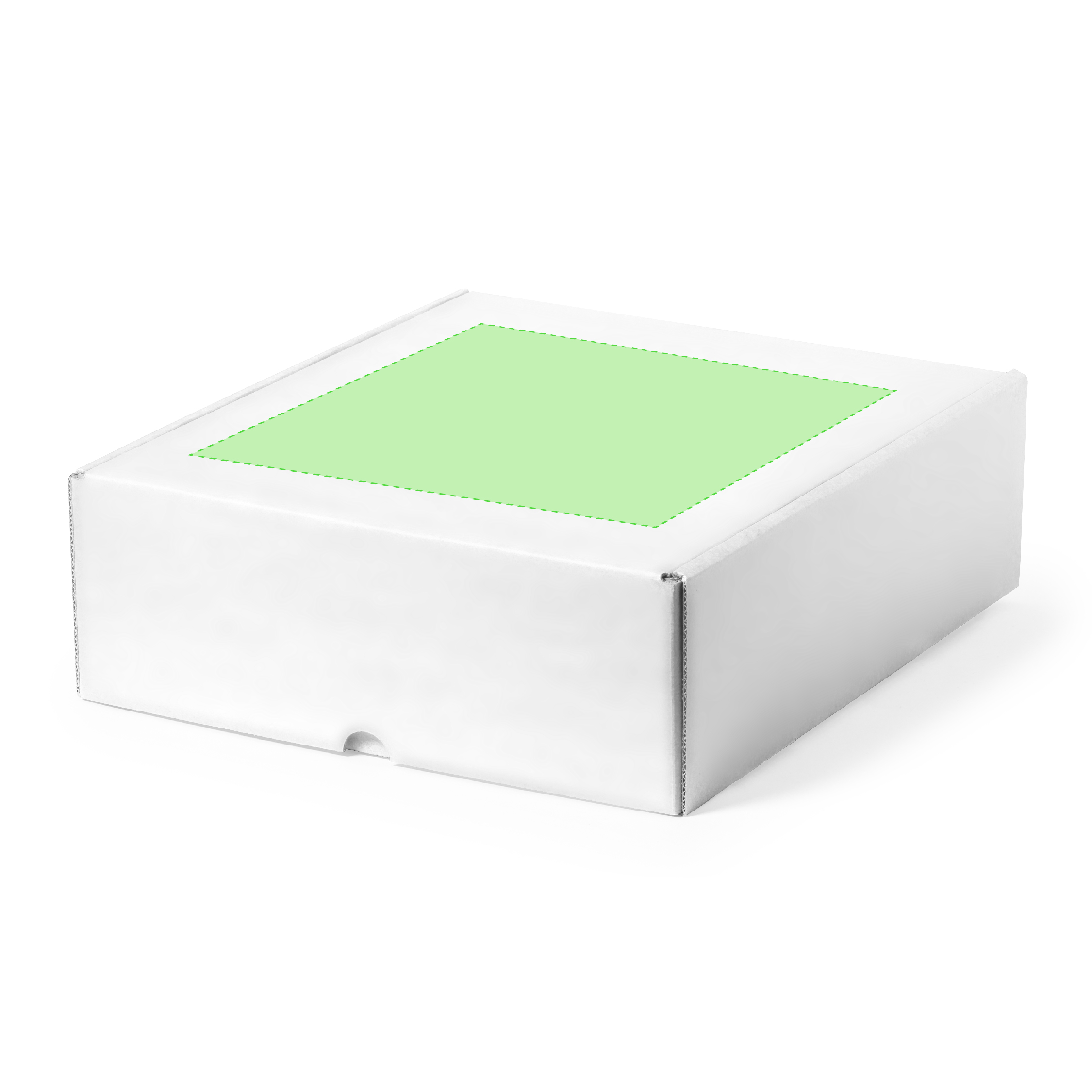On the cover of the case