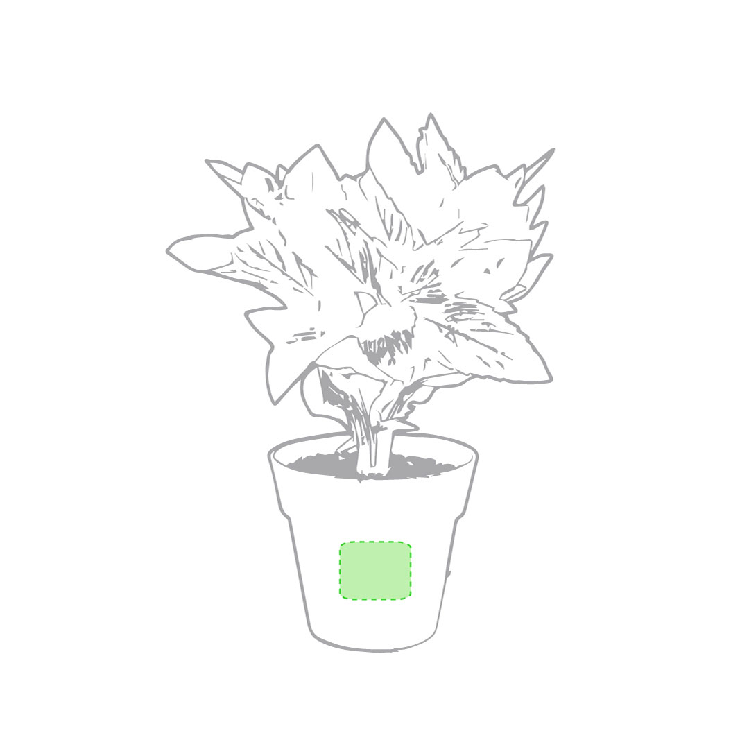 Planter 1