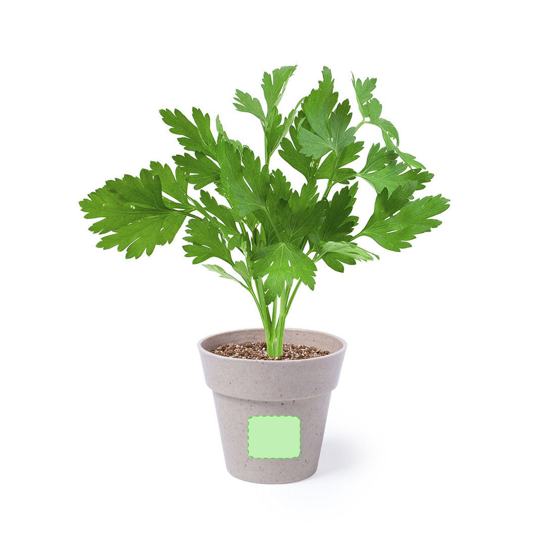 Planter 2