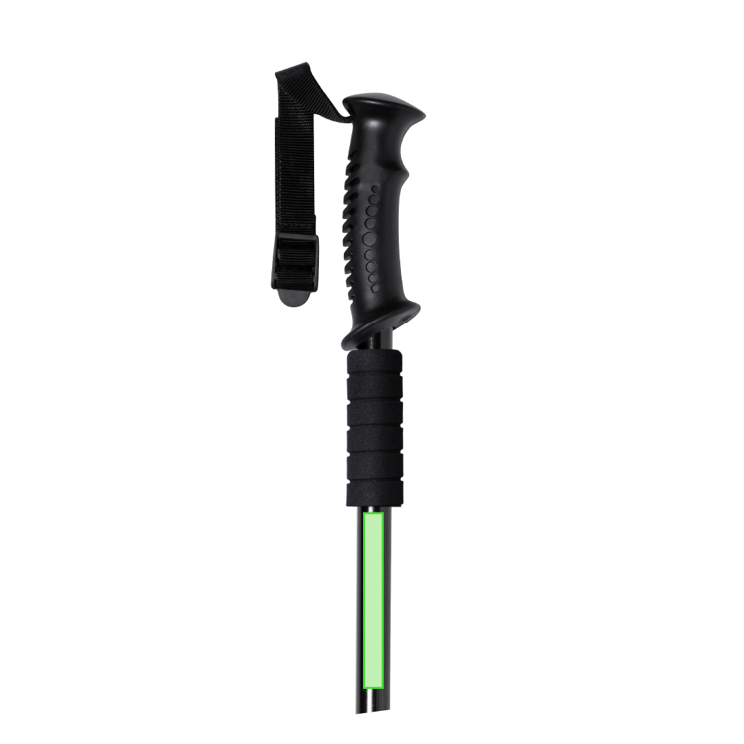 Walking stick 1