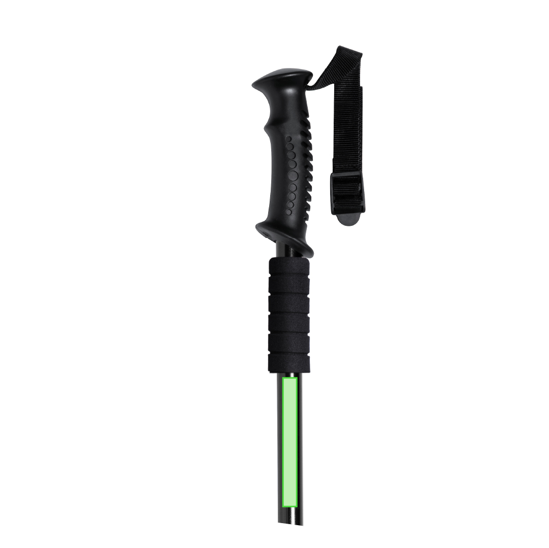 Walking stick 2